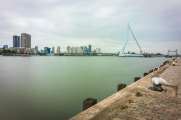 Landscape photography, view of the Rotterdam port and Erasmus Bridge, photo taken for illustration on website, brochure and social media