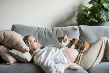 Maternity photographer, Pregnancy photography, lifestyle pregnancy photoshoot, a pregnant lady is chilling at home on her sofa with her cat on her belly, Hilversum