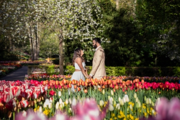 Couple photoshoot, loveshoot, engagement photoshoot: portrait of a couple posing holding hands tenderly in the middle of the flowers Keukenhof Garden, The Netherlands